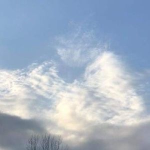 Meet your Posher, Nona